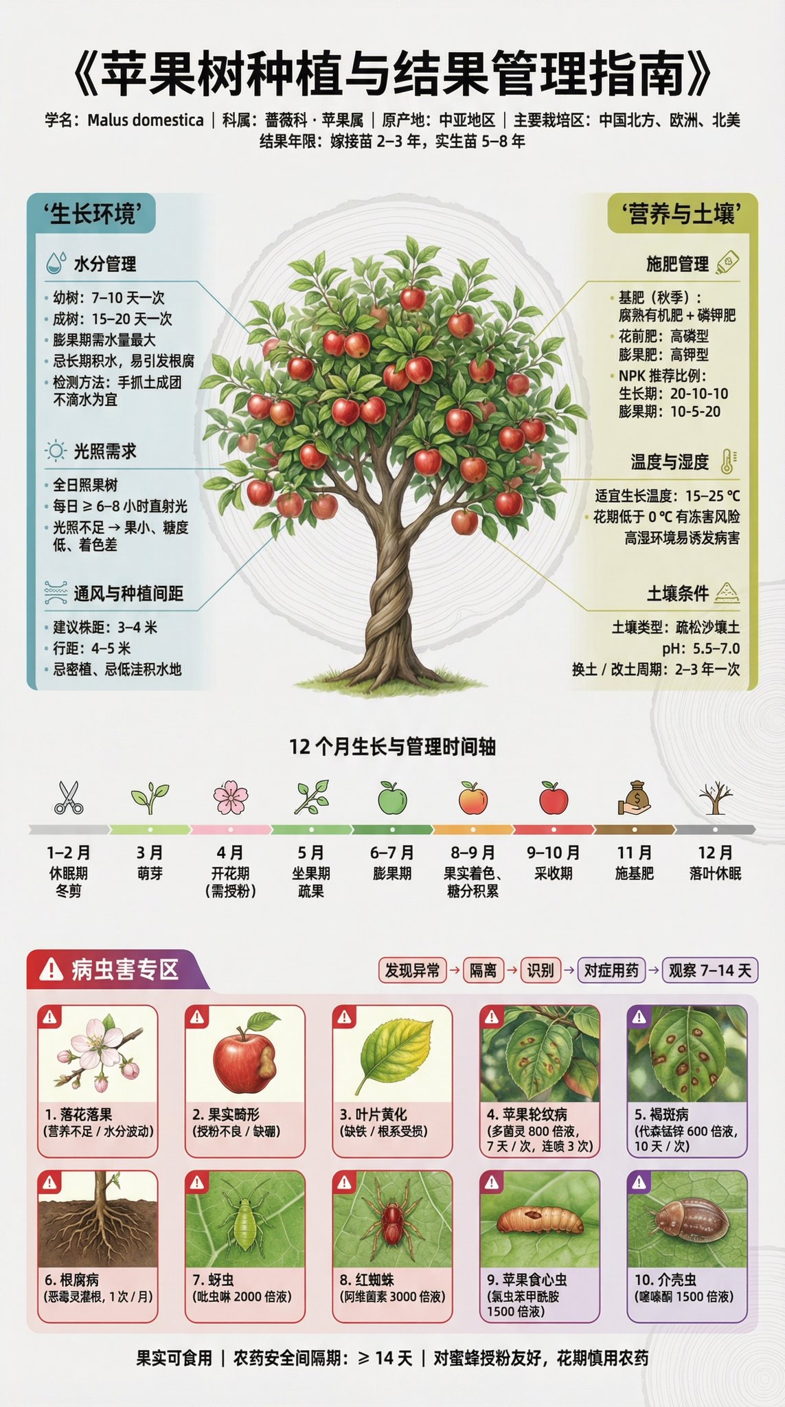 Poster Infografik Panduan Penanaman Pokok Buah