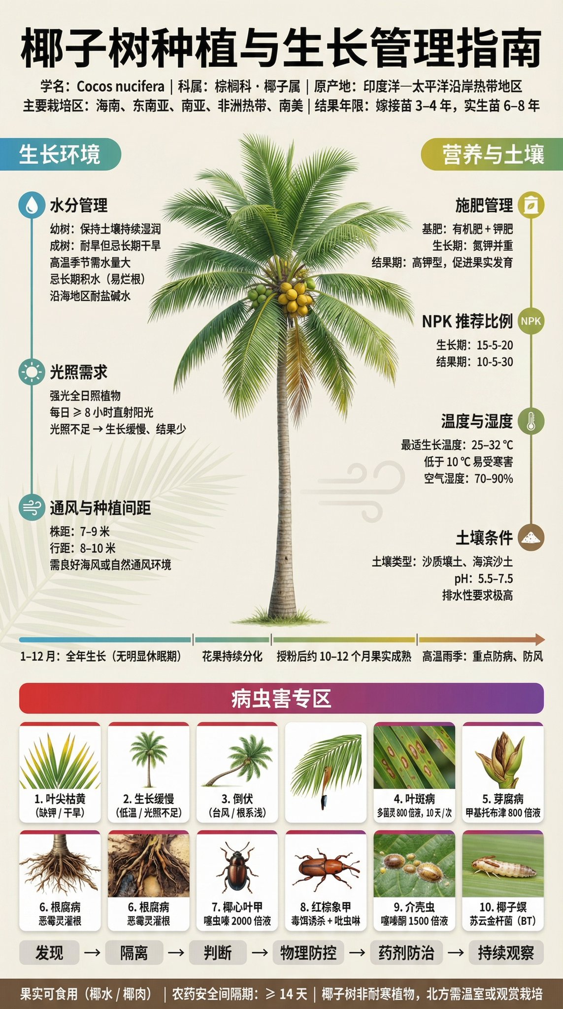 Poster Infografik Panduan Penanaman Pokok Buah - Image 3