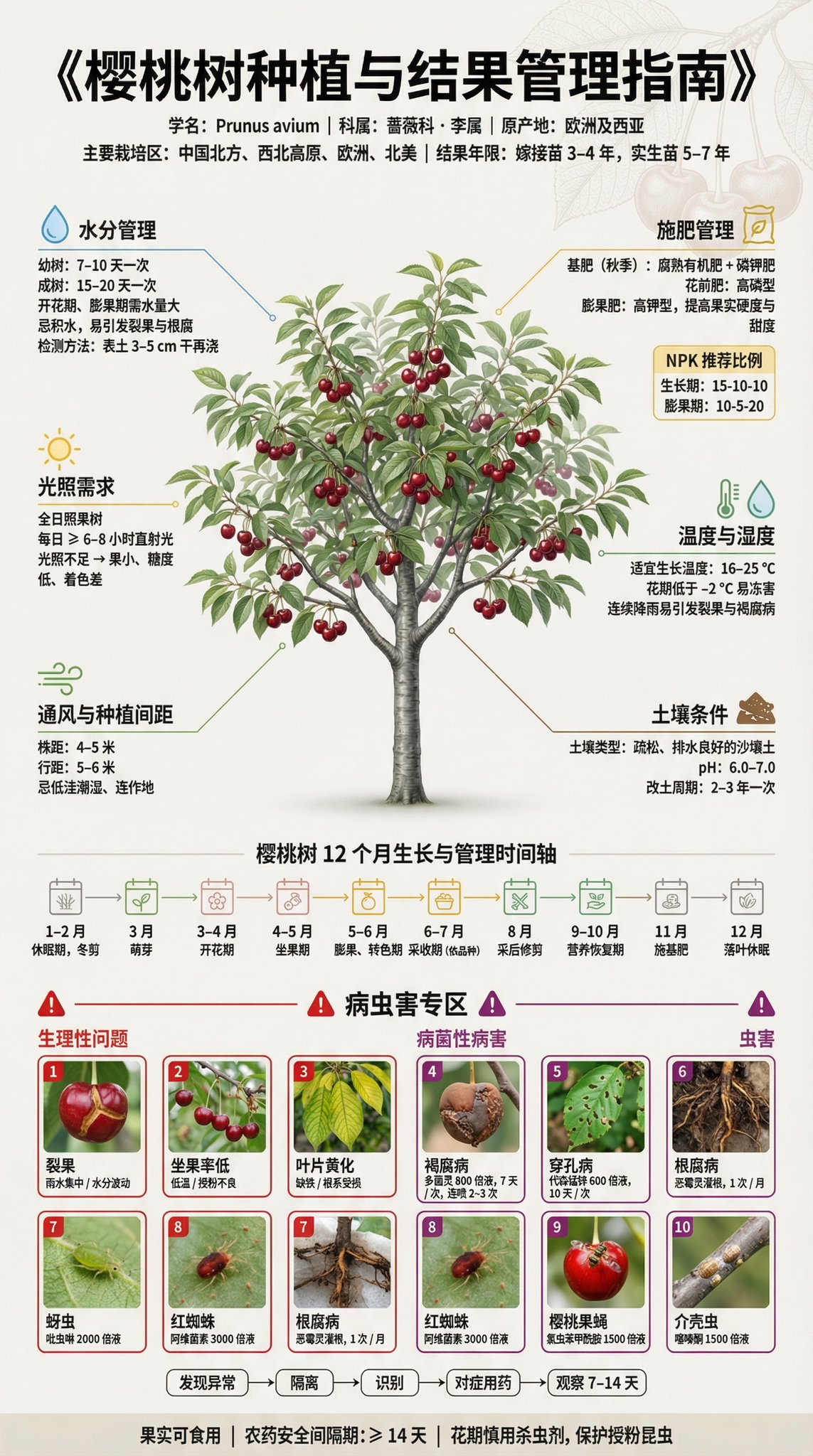 Poster Infografik Panduan Penanaman Pokok Buah - Image 4